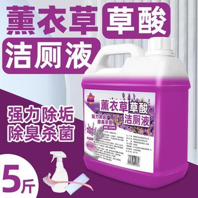 薰衣草草酸洁厕液强力去污除尿垢卫生间厕所瓷砖马桶清洁剂洁厕灵优惠商品图片