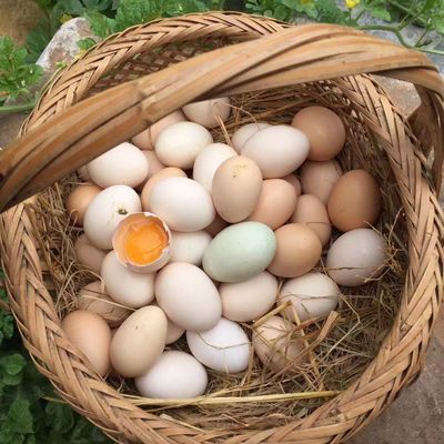 现捡现发大山深处鲜鸡蛋360枚土鸡蛋柴鸡蛋农家蛋笨鸡蛋新鲜散养
