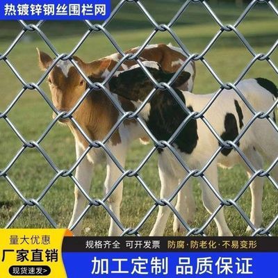 热镀锌勾花网铁网格网铁栅栏室内养鸡舍圈羊专用网伸缩围栏防锈网