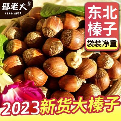 邢老大2023炒熟大榛子东北榛子笨炒大果榛子大臻子玉坠榛子干榛子