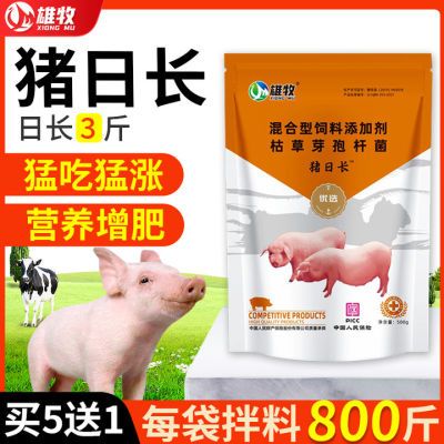 猪日长雄牧正品饲料添加剂小猪用增肥增重猛长快速出栏仔猪预混料