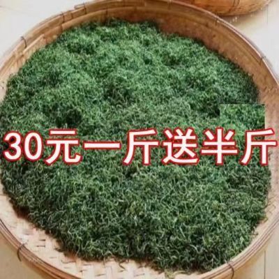 (一斤送半斤)2024新茶正宗绿茶高山云雾日照充足浓香耐泡绿茶批发