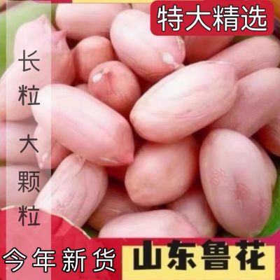 山东鲁花大颗粒花生米2024年新鲜养胃大粒500g特级坚果花生米批发