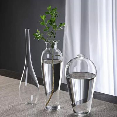 玻璃花瓶透明禅意中式小口细口水养植物家居装饰插花摆件水培花器