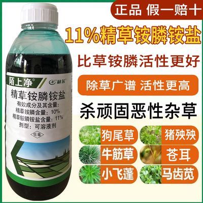 11%精草铵膦铵盐除草剂杂草快速除草正宗精品胺草麟胺盐正品2023