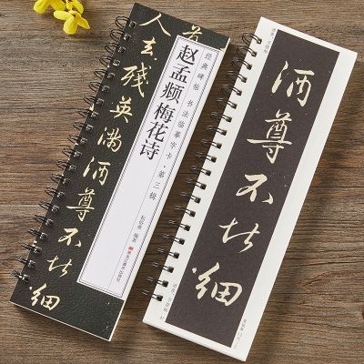 赵孟頫梅花诗行书毛笔书法字帖放大版全文经典碑帖近距离临摹字卡