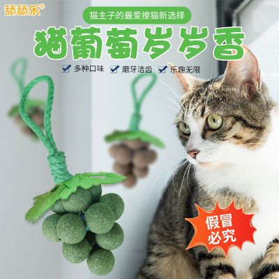 宠贝天舔舔乐猫葡萄岁岁香猫薄荷虫瘿果球组合玩具逗猫磨牙猫玩具