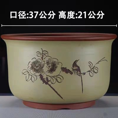 紫砂花盆、吸水盆、紫砂盆景,正宗茶花盆,简约多肉绿萝陶瓷盆景