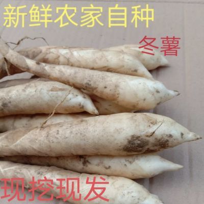 新鲜广东特产农家自种竹薯竹根薯煲汤食材当季