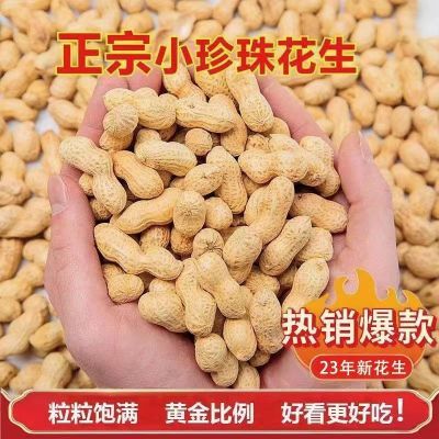 2023新货东北小珍珠花生农家生新鲜原味炒熟红皮成箱批发花生带壳