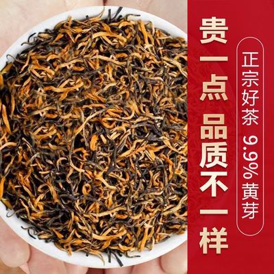 正宗金骏眉2024新茶红茶叶黄芽蜜香浓香型养胃批发价袋装尊享