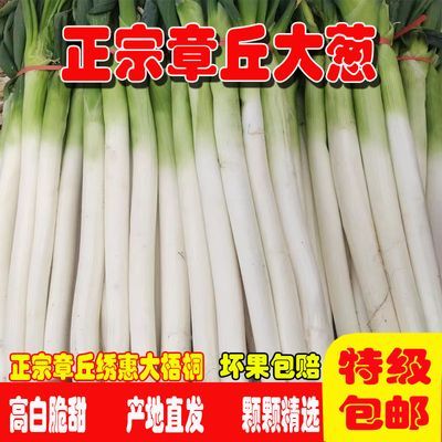 当季正宗章丘特级新嫩大葱山东特产新鲜蔬菜长葱农家自种3/5/9斤