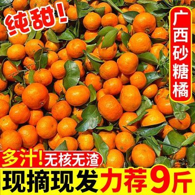 【今日补贴】广西金秋砂糖橘当季新鲜水果沙糖桔子薄皮蜜橘子批发