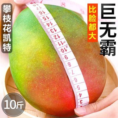 【正宗】四川攀枝花凯特大芒果整箱当季新鲜水果现摘现发芒果批发