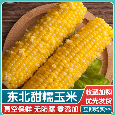 【23年新玉米】东北糯玉米现摘新鲜220g-260g真空装东