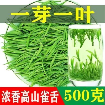 特级雀舌茶叶2024新茶高档茶叶正宗绿茶浓香型手工绿茶散装500g