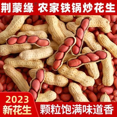 净重农家铁锅炒花生零食2023新货新鲜带壳原味四粒红衣红皮炒熟