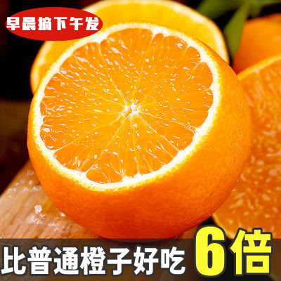 【超低价】四川爱媛橙38号果冻橙10斤新鲜水果当季整箱橙子礼盒