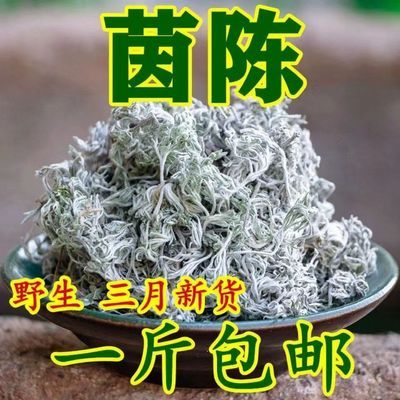 茵陈中药材 2023新货茵陈 野生棉茵陈蒿 三月茵陈 草药绵茵陈白蒿