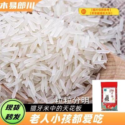 现磨现发23年新米大米猫牙米丝苗米生态米长优选煲仔饭炒饭50斤装