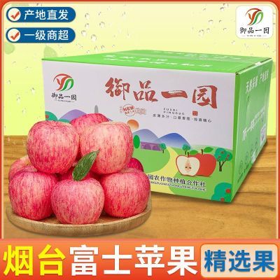 正宗山东栖霞苹果红富士彩箱礼盒新鲜水果脆甜冰糖心一级3/5斤