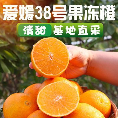网红健康水果四川38号爱媛果冻橙当季橙香甜媛整箱
