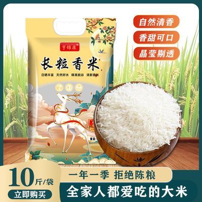 五常大米稻花正宗长款五常大米东北大米长粒香米2023年新米散装