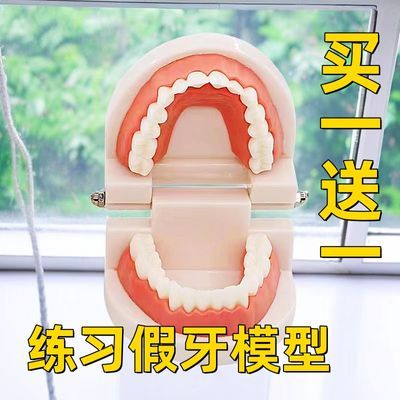 牙科标准牙模型 牙齿模型牙模教学假牙幼儿园刷牙练习 口腔模型