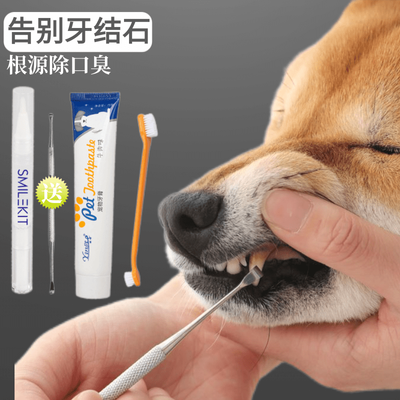 狗狗牙结石双头工具宠物犬猫咪去除神器清洁口腔牙垢臭刮牙齿钩子