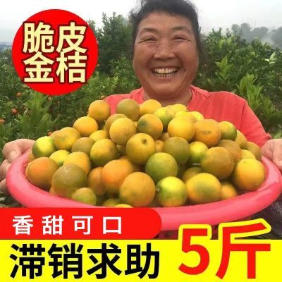 新鲜5斤融安脆皮金桔纯甜广西滑皮无籽金桔金桔糖心金桔水果