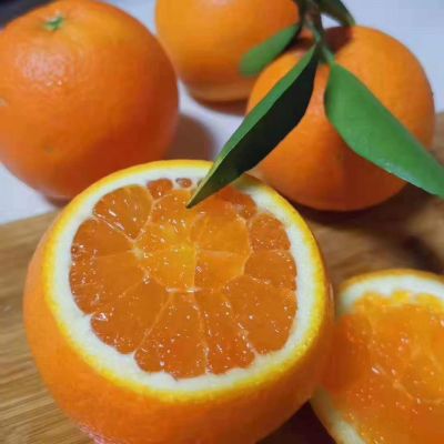 正品秭归九月红果冻橙当季时令新鲜水果产地直销爆款九斤整箱