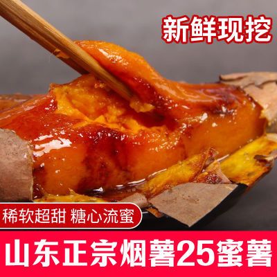 山东正宗烟薯25号蜜薯超甜糖心新鲜沙地红薯红心流油地瓜番薯5斤