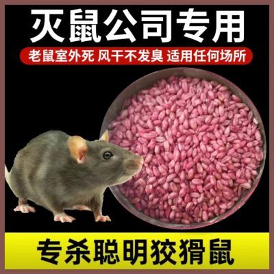 老鼠药小麦饵料家用灭鼠药耗子药一窝端灭鼠室外死长效灭鼠剂克星