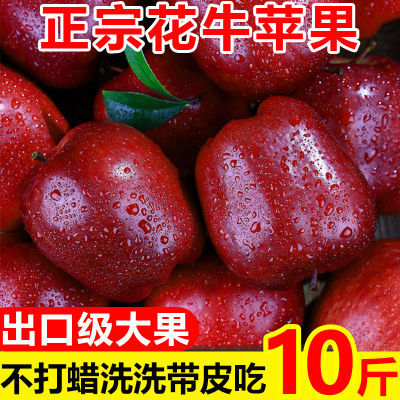 【特级】正宗甘肃天水花牛苹果应季新鲜水果粉面红蛇果批发一整箱