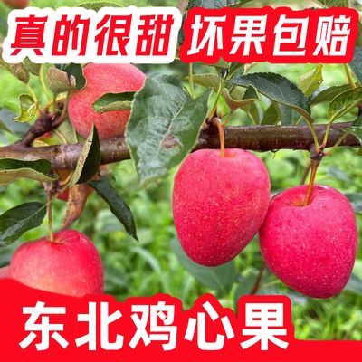 正宗东北鸡心果新鲜整箱发货时令水果海棠果农家小苹果非沙果包邮