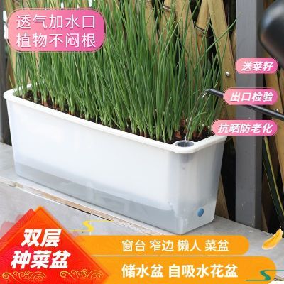 阳台室内蔬菜种植箱窄边菜盆塑料花盆长方形加厚家庭飘窗种菜清仓