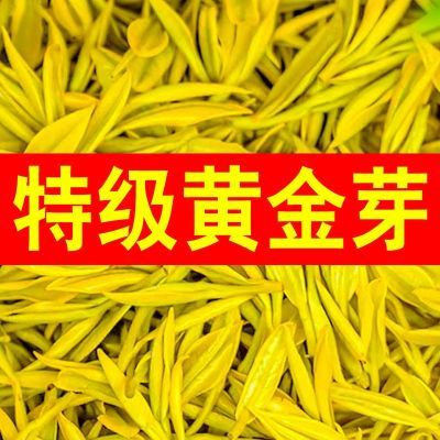 2023新茶春季特级2A头采黄金芽高山豆香浓香型高档绿茶罐装散装