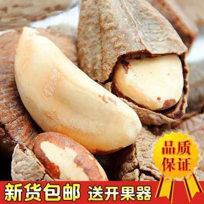 新货巴西沙漠果鲍鱼果500g袋装盐焗味坚果散装批发休闲零食250g9g