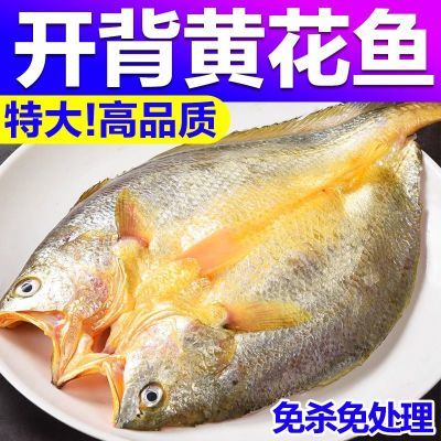 北海湾调味黄鱼鲞国产新鲜冷冻宁德开背大黄鱼200g/条海鲜活海鱼