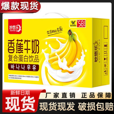 新品香蕉牛奶250ml复合蛋白饮品饮料营养早餐奶礼盒装特价批