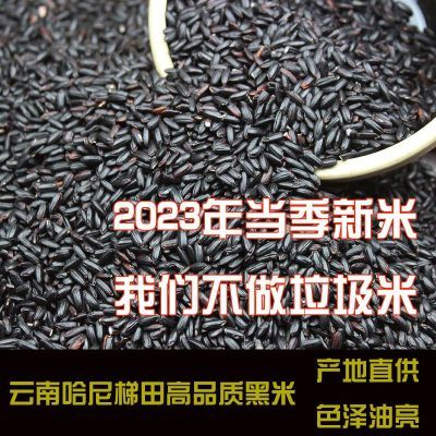 云南红河梯田纯天然奶茶店黑米商用原料饭团孕妇长粒2023年新米