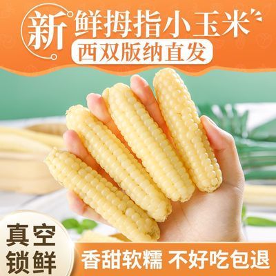 【精品】拇指玉米西双版纳玉米新鲜糯玉米减脂低脂开袋即食甜玉米