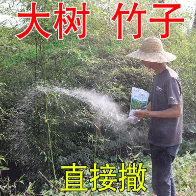 环嗪酮颗粒除草剂大树专用快速干枯烂根清理障碍树专用除草剂强效