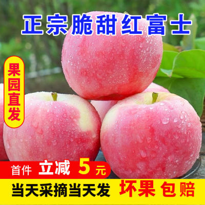 5斤正宗红富士冰糖心苹果新鲜水果第一名脆甜整箱批发