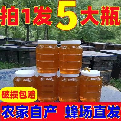 【买1发5】深山土蜂蜜野生结晶农家土蜂蜜纯正天然成熟洋槐枣花蜜