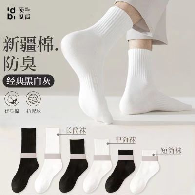 ڲϹļͲിɫͲĿ˶5.5Ԫ