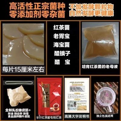 红茶菌海宝胃宝醋鹅子 醋宝正品菌种 养胃开胃实验室研究专用菌种