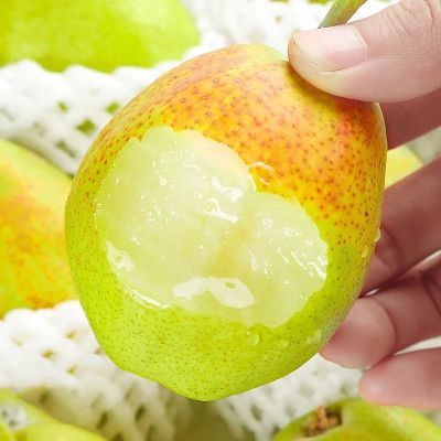 红香酥梨新鲜应季水果酥梨3/5/10斤源自库尔勒香梨脆甜皮薄梨子