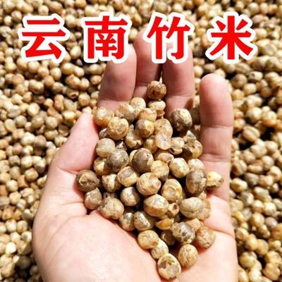 云南土特产山货竹米竹子果实煲汤可食用山珍野生新鲜干货去壳