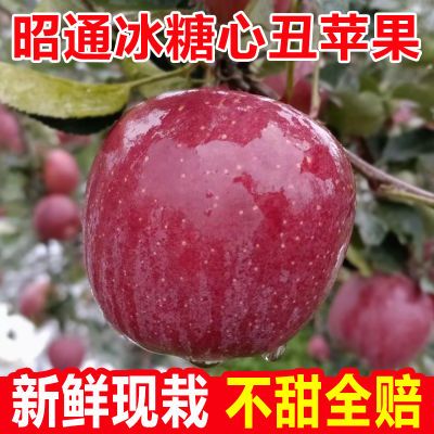 云南昭通市丑苹果正宗冰糖心苹果新鲜水果当季整箱孕妇红富士萍果